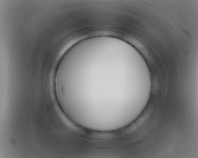 X0000114621039200910200957