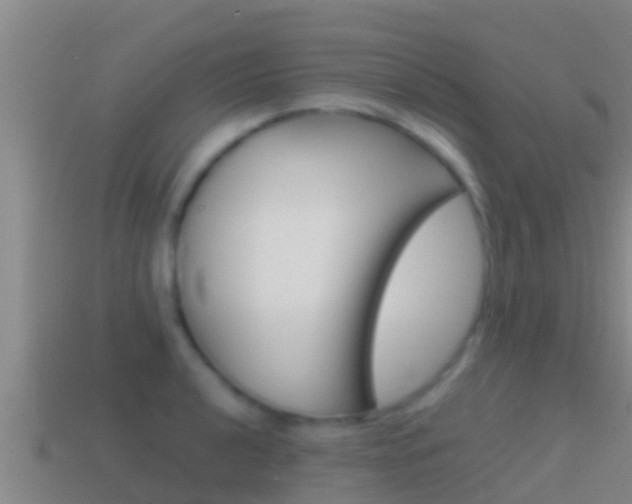 X0000114621040200910200957