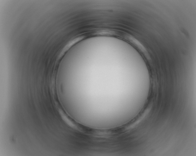 X0000114621041200910200957