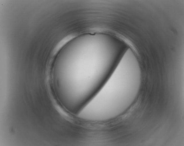 X0000114621042200910200957