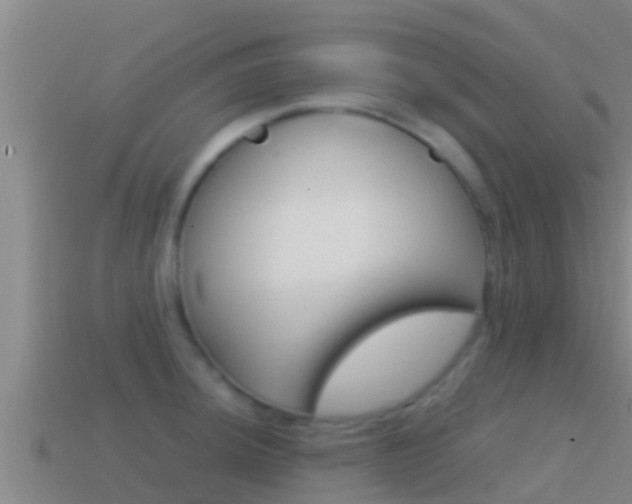 X0000114621044200910200957