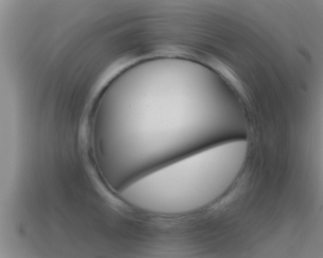 X0000114621046200910200958
