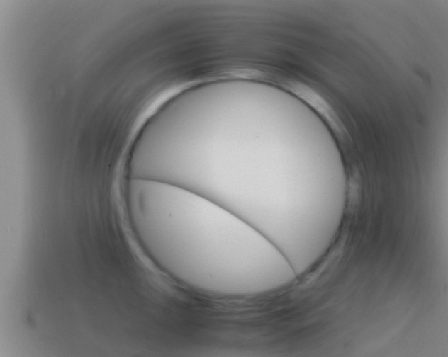 X0000114621047200910200958