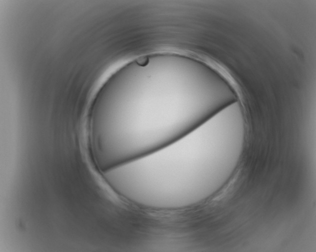 X0000114621048200910200958