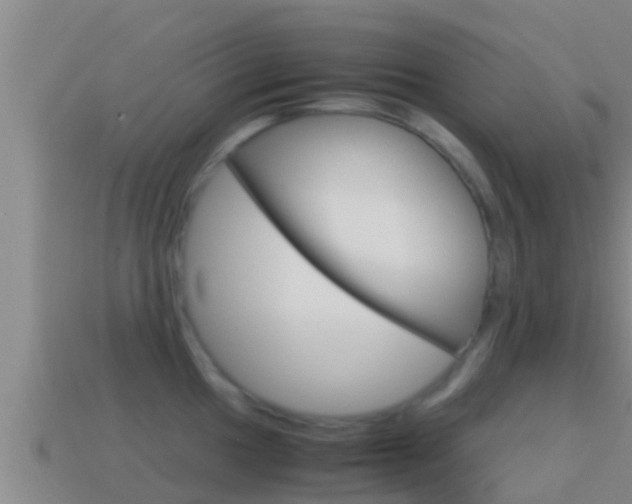 X0000114621049200910200958