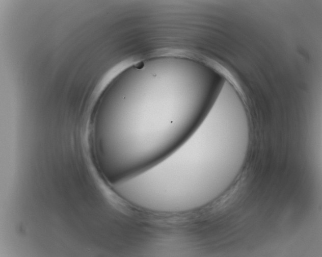 X0000114621050200910200958