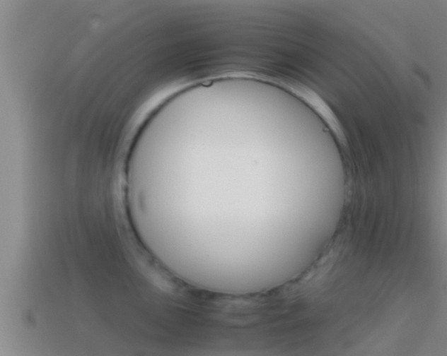 X0000114621051200910200958