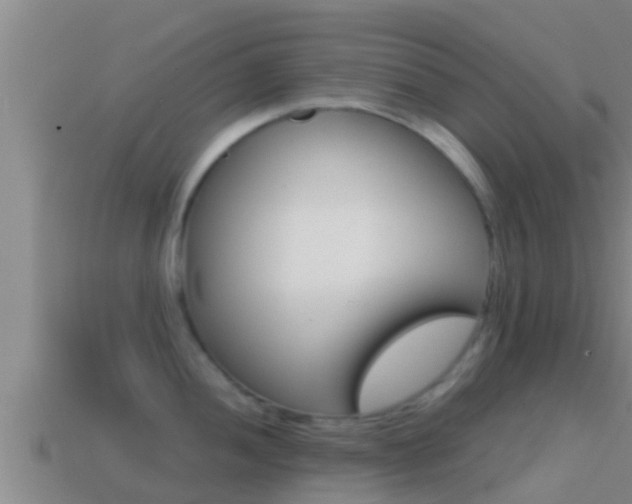 X0000114621052200910200958