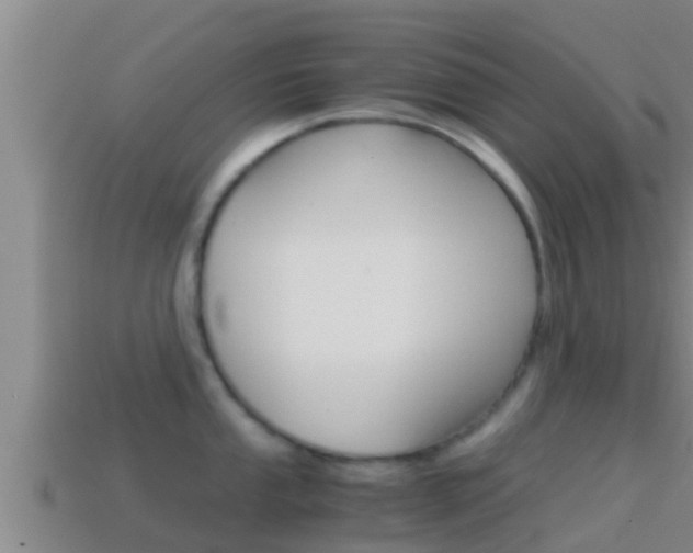 X0000114621053200910200958