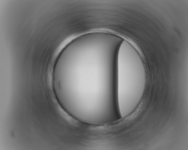 X0000114621054200910200958