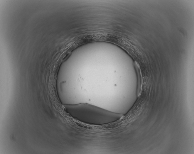X0000114621057200910200957
