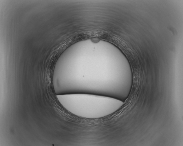 X0000114621058200910200957