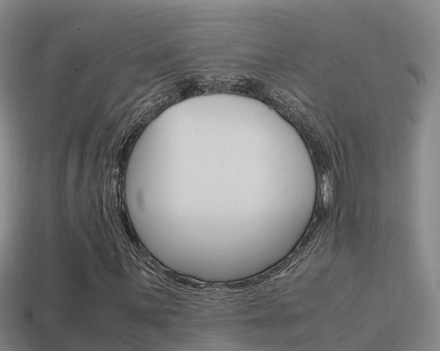 X0000114621059200910200957