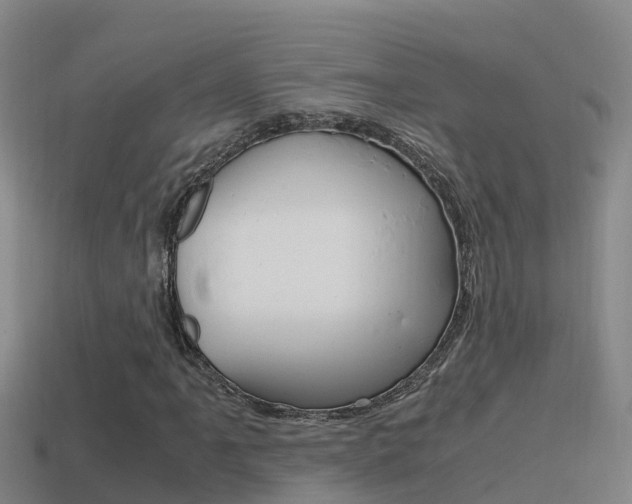 X0000114621061200910200957