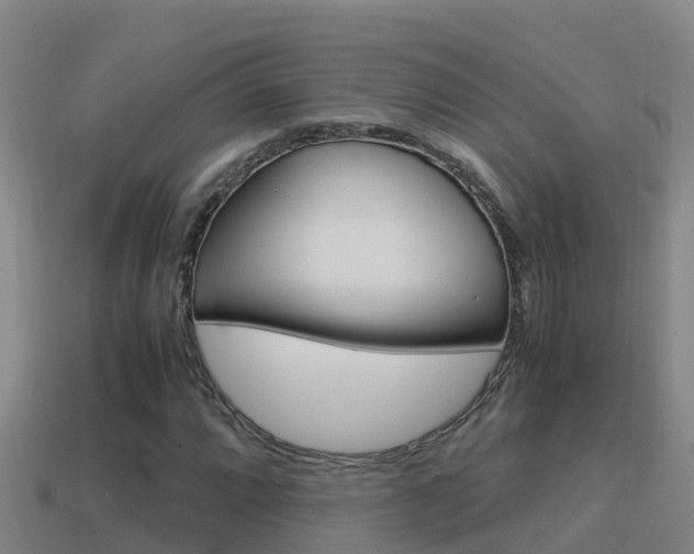 X0000114621064200910200957