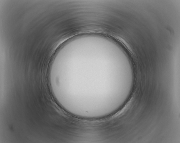 X0000114621065200910200957