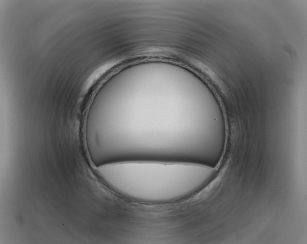 X0000114621066200910200957