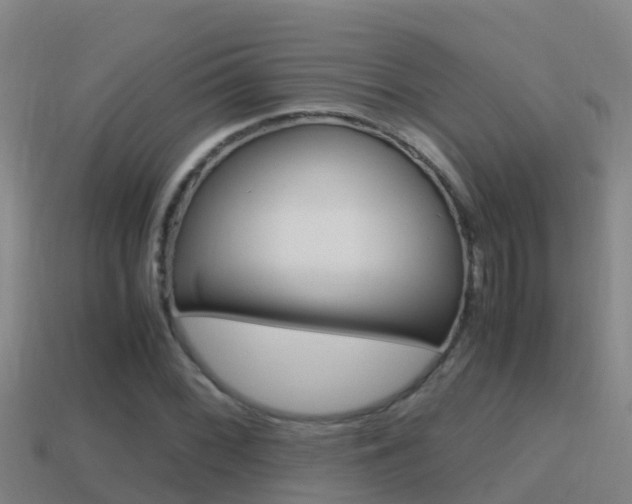 X0000114621068200910200957
