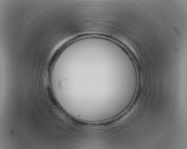 X0000114621069200910200957