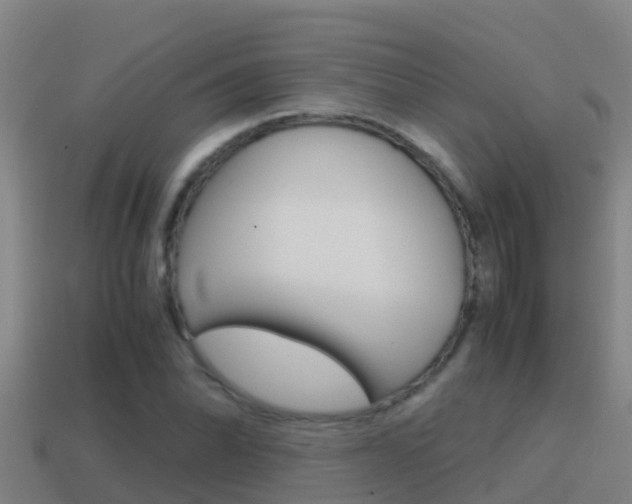 X0000114621070200910200957