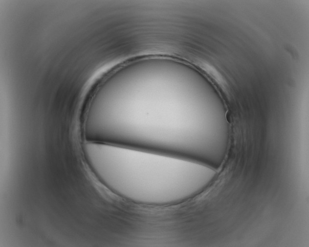 X0000114621072200910200957