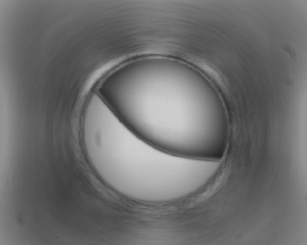 X0000114621077200910200957