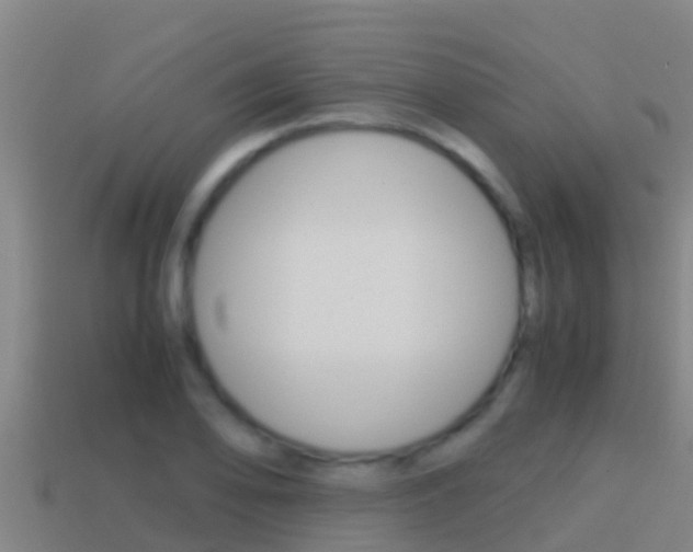 X0000114621078200910200957