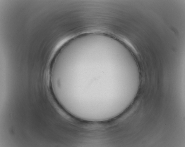 X0000114621079200910200957