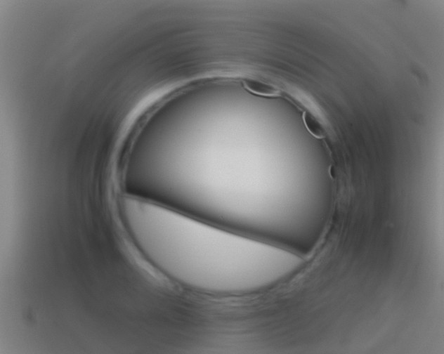 X0000114621080200910200957