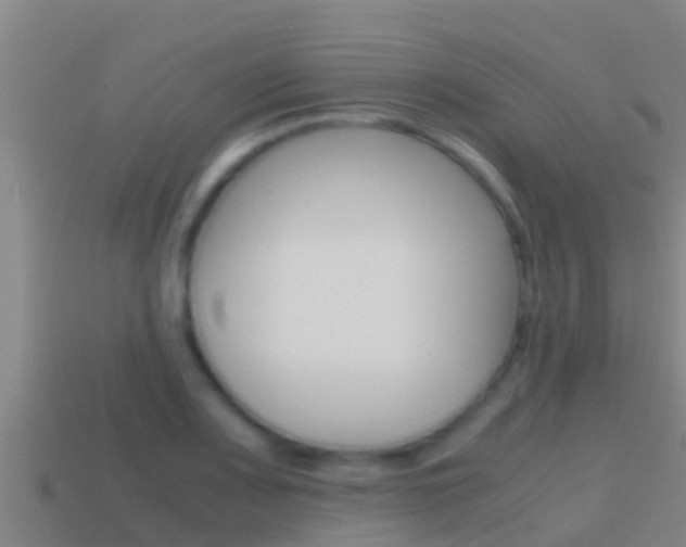 X0000114621083200910200957