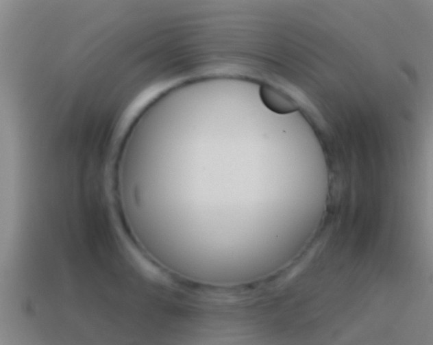 X0000114621086200910200957