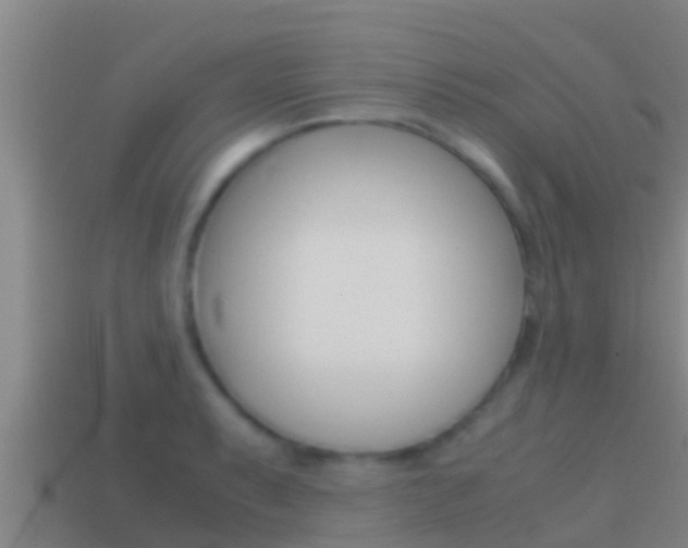 X0000114621087200910200957