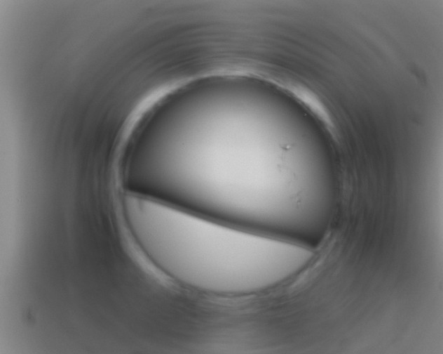 X0000114621088200910200957
