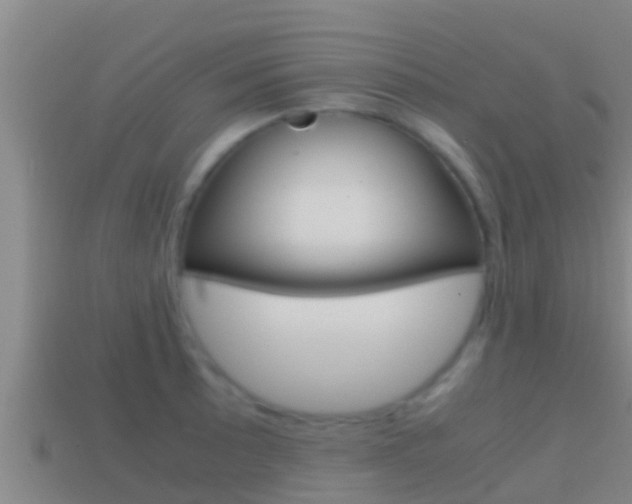 X0000114621089200910200957