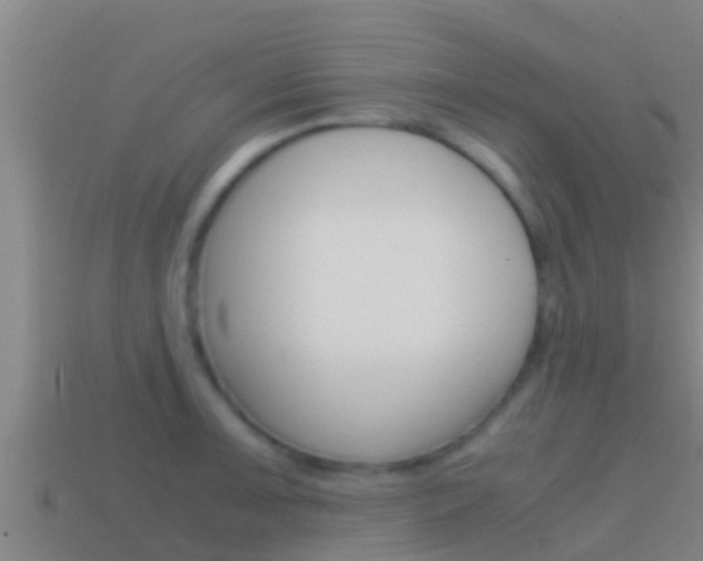 X0000114621091200910200957