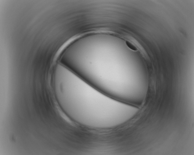 X0000114621092200910200957