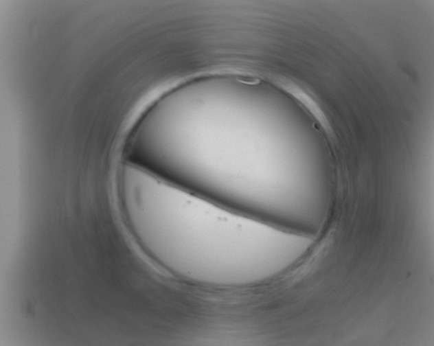 X0000114621093200910200957