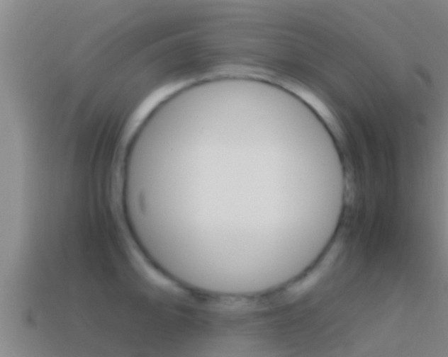 X0000114621094200910200957