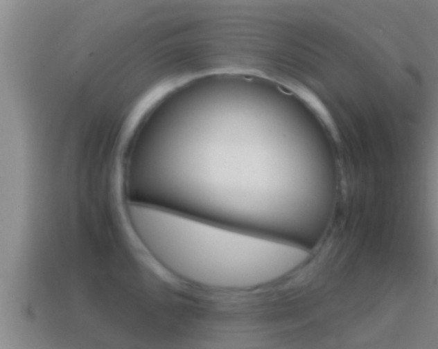 X0000114621096200910200957