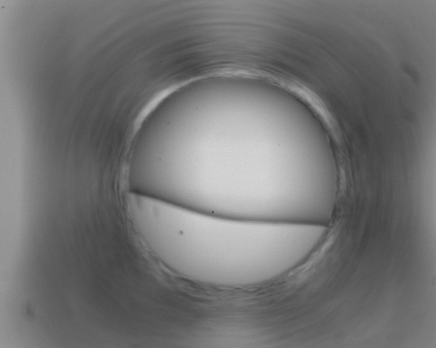 X0000114621097200910200957