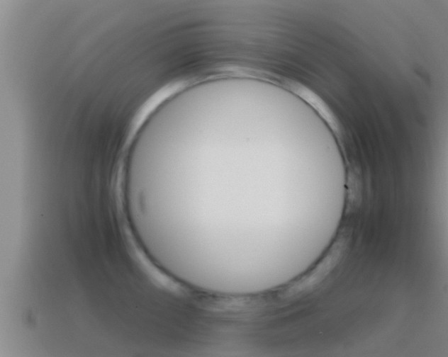 X0000114621098200910200957