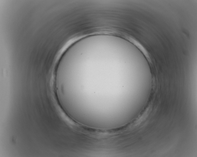 X0000114621099200910200956
