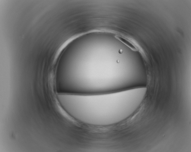 X0000114621100200910200956