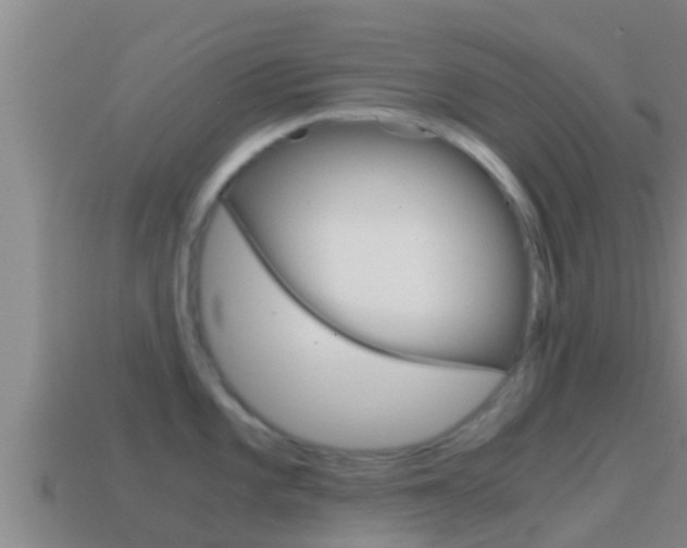X0000114621101200910200956