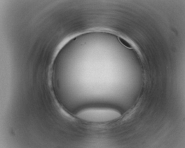 X0000114621102200910200956