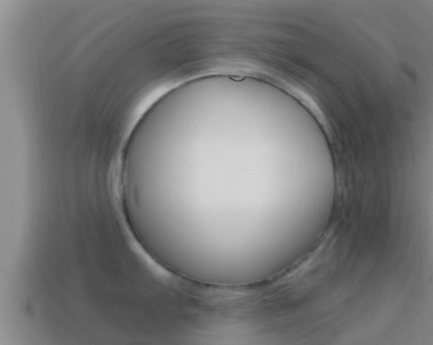 X0000114621103200910200956