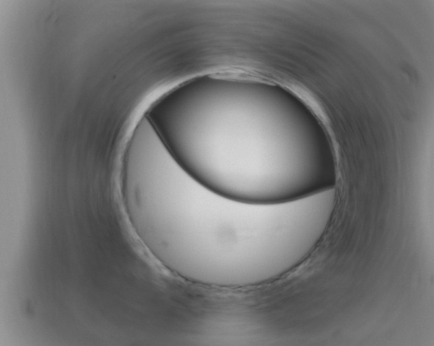X0000114621104200910200956