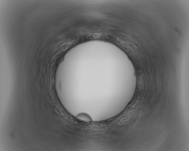 X0000114621105200910200956