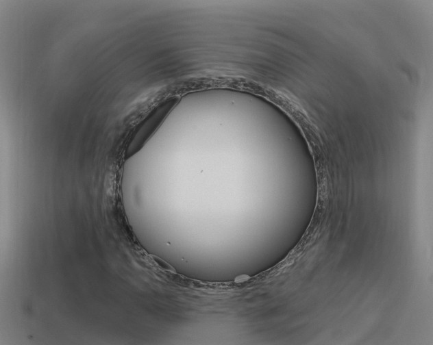 X0000114621110200910200956