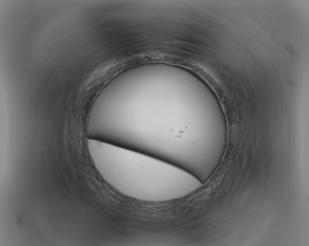 X0000114621111200910200956